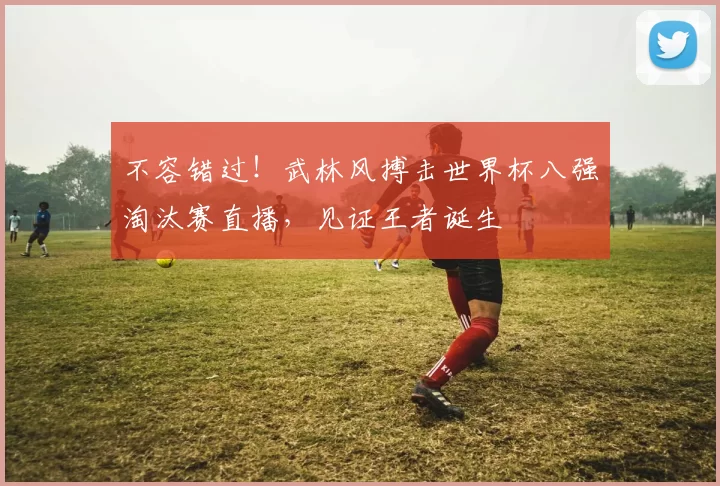 不容错过！武林风搏击世界杯八强淘汰赛直播，见证王者诞生