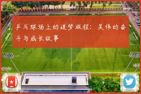 乒乓球场上的追梦旅程：吴伟的奋斗与成长故事