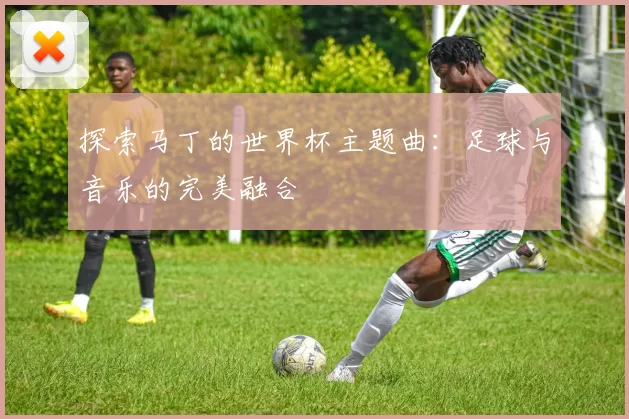 探索马丁的世界杯主题曲：足球与音乐的完美融合