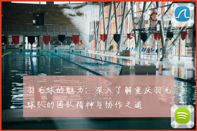 羽毛球的魅力：深入了解重庆羽毛球队的团队精神与协作之道