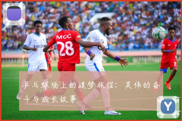 乒乓球场上的追梦旅程:吴伟的奋斗与成长故事