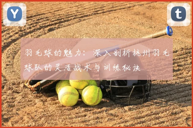 羽毛球的魅力:深入剖析杭州羽毛球队的灵活战术与训练秘诀
