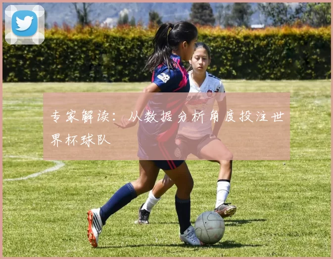专家解读:从数据分析角度投注世界杯球队