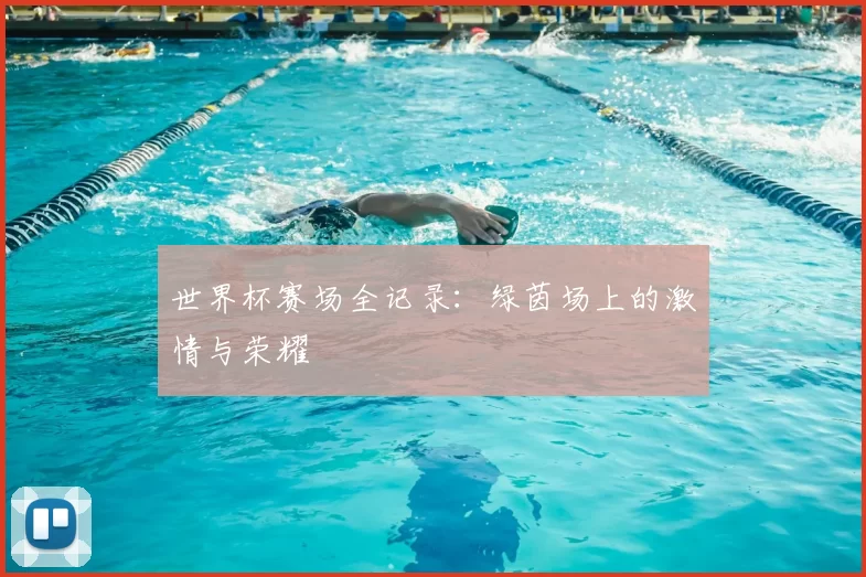 世界杯赛场全记录：绿茵场上的激情与荣耀