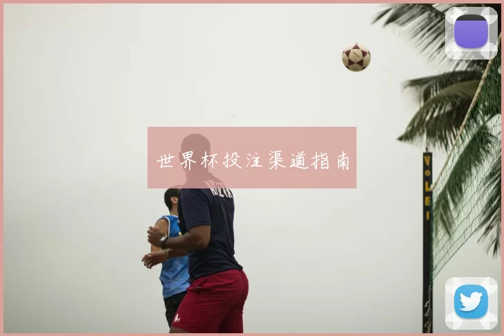 世界杯投注渠道指南