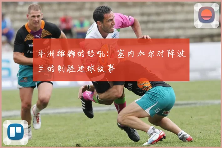 非洲雄狮的怒吼：塞内加尔对阵波兰的制胜进球故事