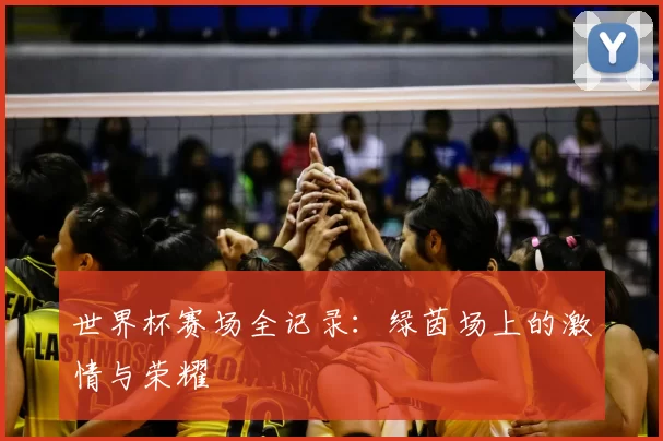 世界杯赛场全记录：绿茵场上的激情与荣耀