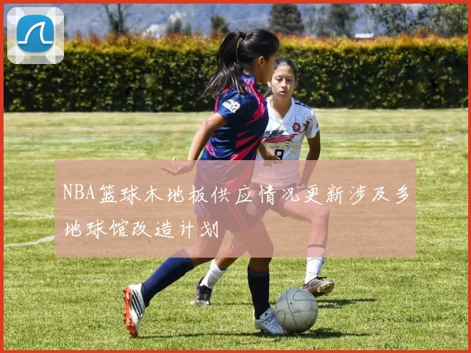 NBA篮球木地板供应情况更新涉及多地球馆改造计划