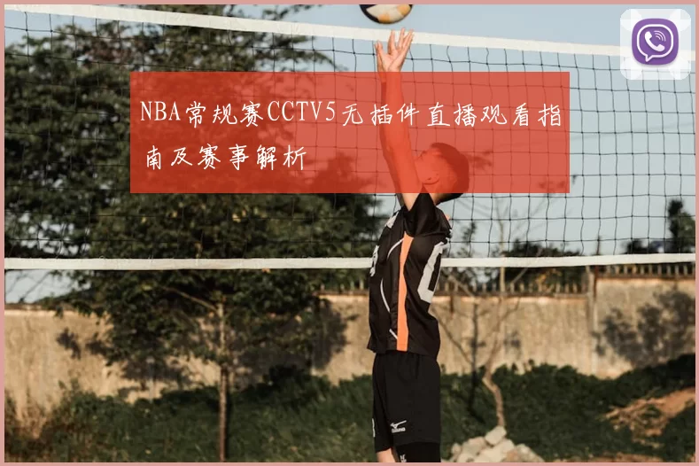 NBA常规赛CCTV5无插件直播观看指南及赛事解析