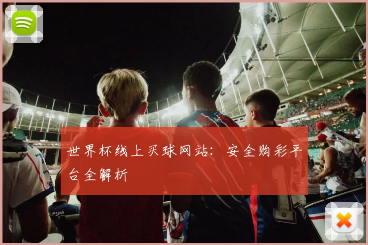 世界杯线上买球网站：安全购彩平台全解析