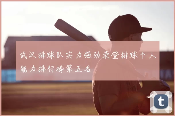 武汉排球队实力强劲荣登排球个人能力排行榜第五名