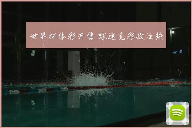 世界杯体彩开售 球迷竞彩投注热